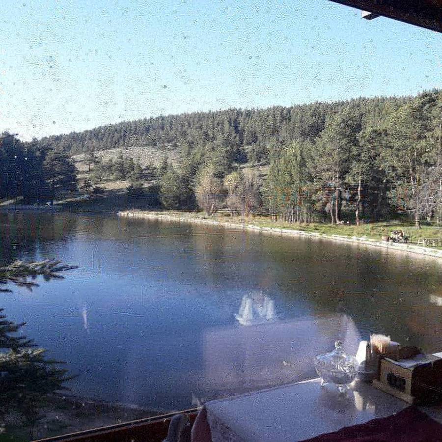 1c602699f150e7e25f23ae2f1dbdc53d.jpg 1c602699f150e7e25f23ae2f1dbdc53d.jpg