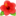 🌺