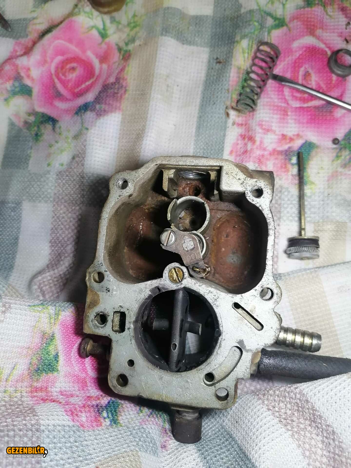 1p256jd.jpg
