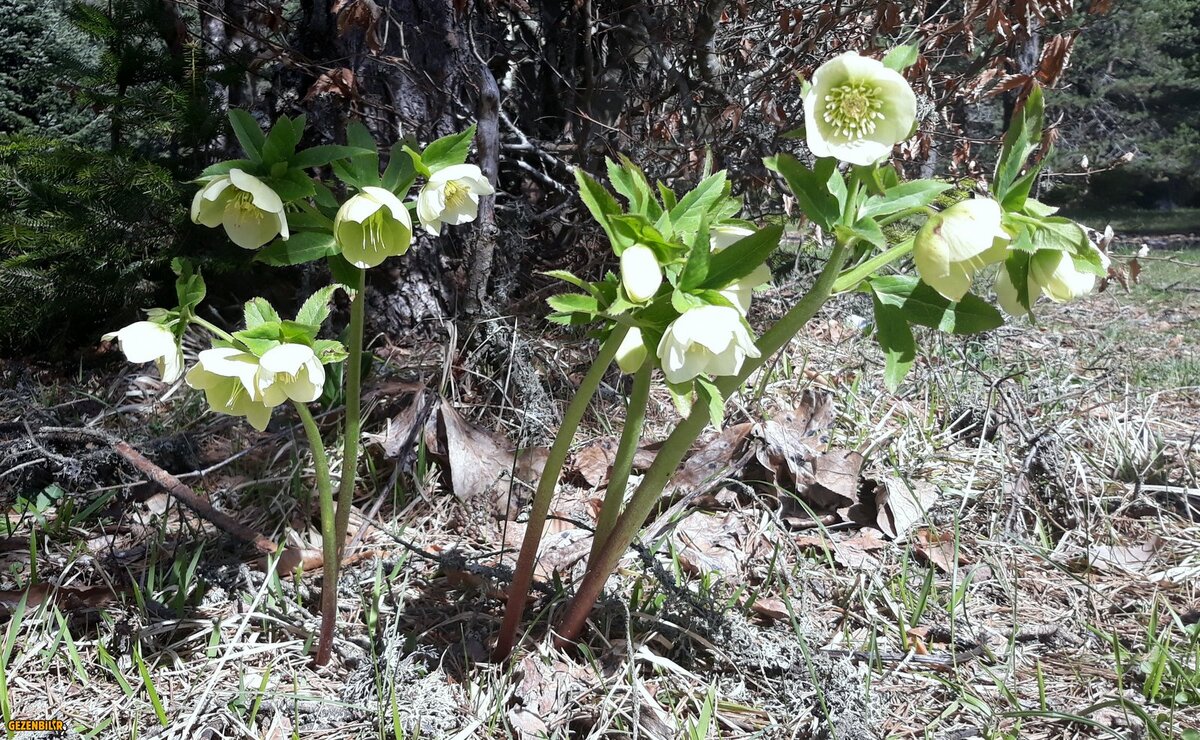 2 20180331_112545.jpg