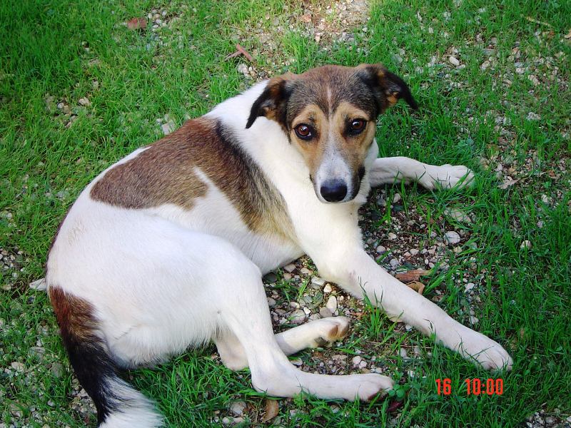 2006 Olympos-Badem.jpg