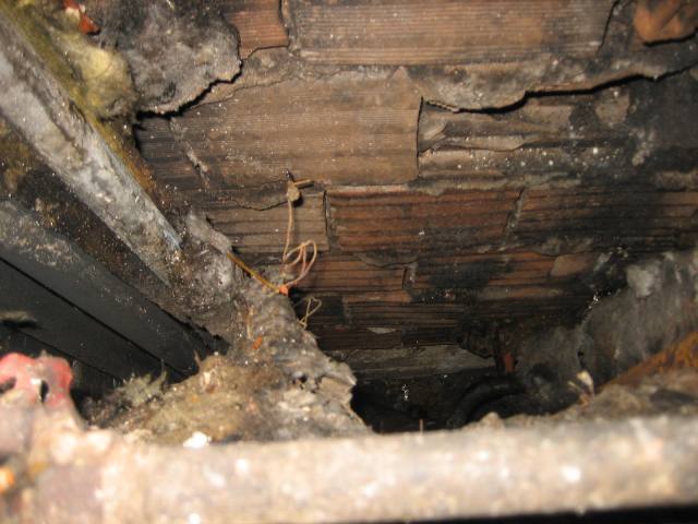 2009 yaz-karma 1088.jpg