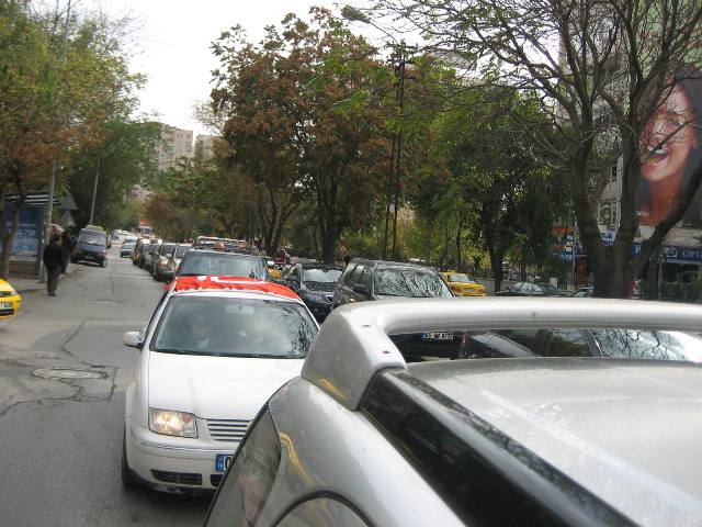 2009 yaz-karma 851.jpg