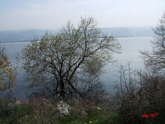 2009_0405uluabatgÃƒÂƒÃ‚ÂƒÃƒÂ‚Ã‚Â¶lyazÃƒÂƒÃ‚Â„ÃƒÂ‚Ã‚Â±0023.jpg