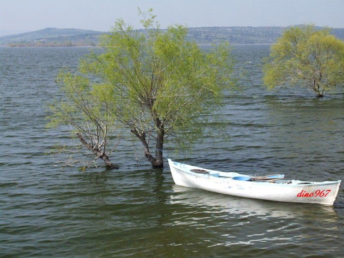 2009_0405uluabatgÃƒÂƒÃ‚ÂƒÃƒÂ‚Ã‚Â¶lyazÃƒÂƒÃ‚Â„ÃƒÂ‚Ã‚Â±0036.jpg