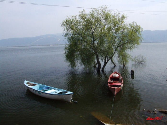 2009_0405uluabatgÃƒÂƒÃ‚ÂƒÃƒÂ‚Ã‚Â¶lyazÃƒÂƒÃ‚Â„ÃƒÂ‚Ã‚Â±0038.jpg