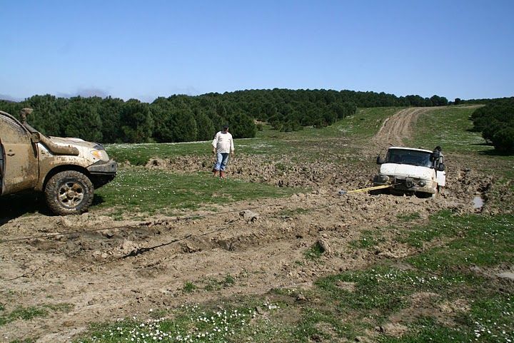 2010-04-04 belgrad gezisi 544.jpg