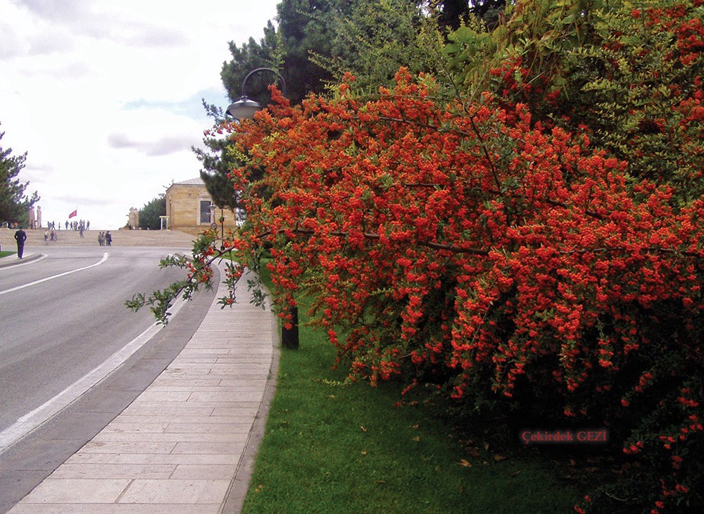 2010.04.18 - AnÃƒÂƒÃ‚Â„ÃƒÂ‚Ã‚Â±tkabir 36.jpg