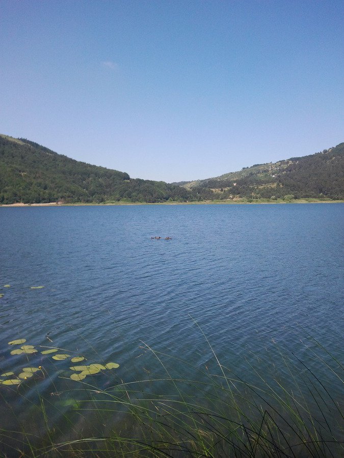 2011-07-08 10.39.27.jpg