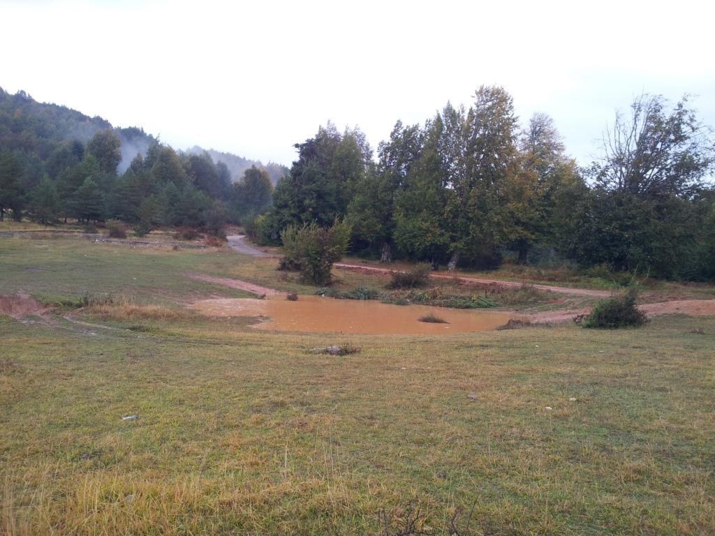 2011-10-09 12.05.18.jpg