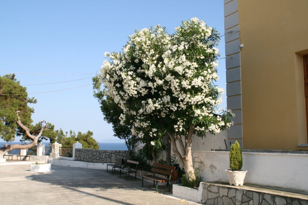 2011 italy greece   canon 167