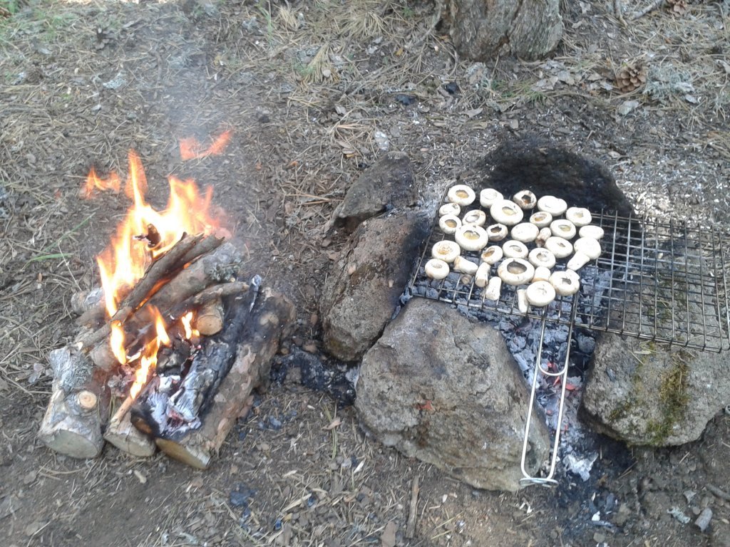 2012-07-14 16.29.37.jpg