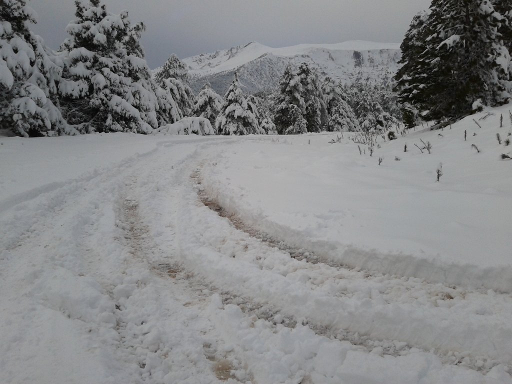 2012-12-22 15.54.36.jpg