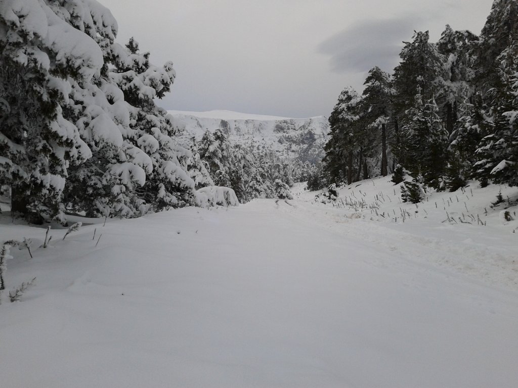 2012-12-22 15.58.32.jpg