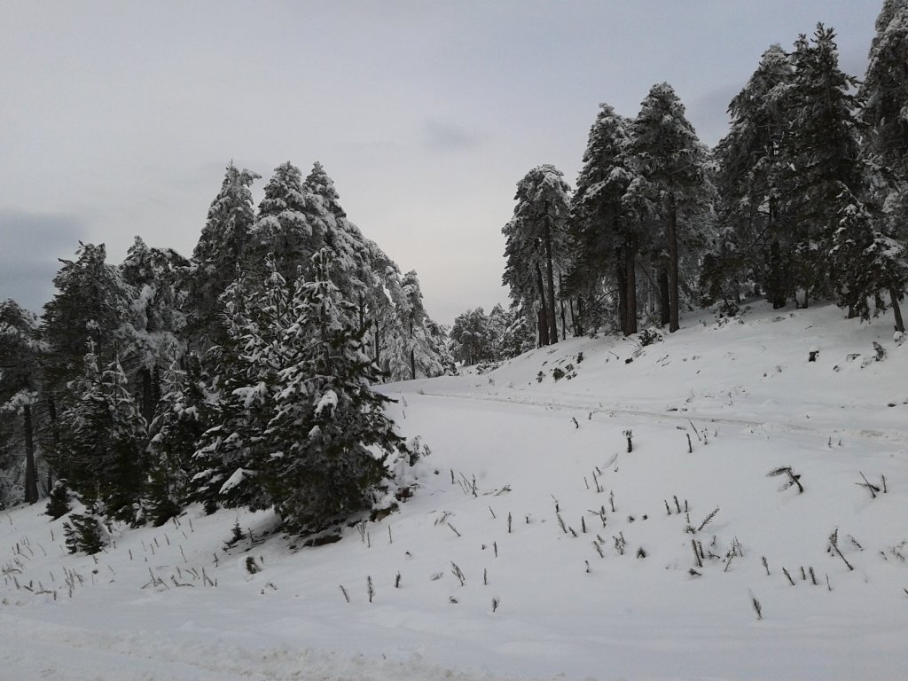 2012-12-22 15.58.44.jpg