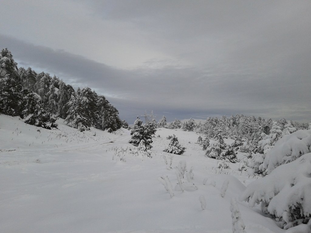 2012-12-22 15.58.54.jpg