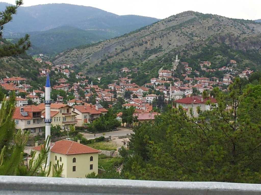 20120604_131552.jpg
