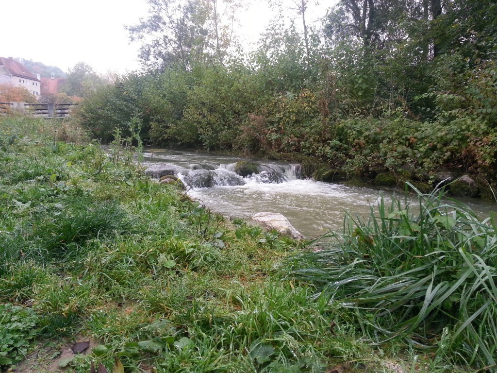 20121011_083021.jpg