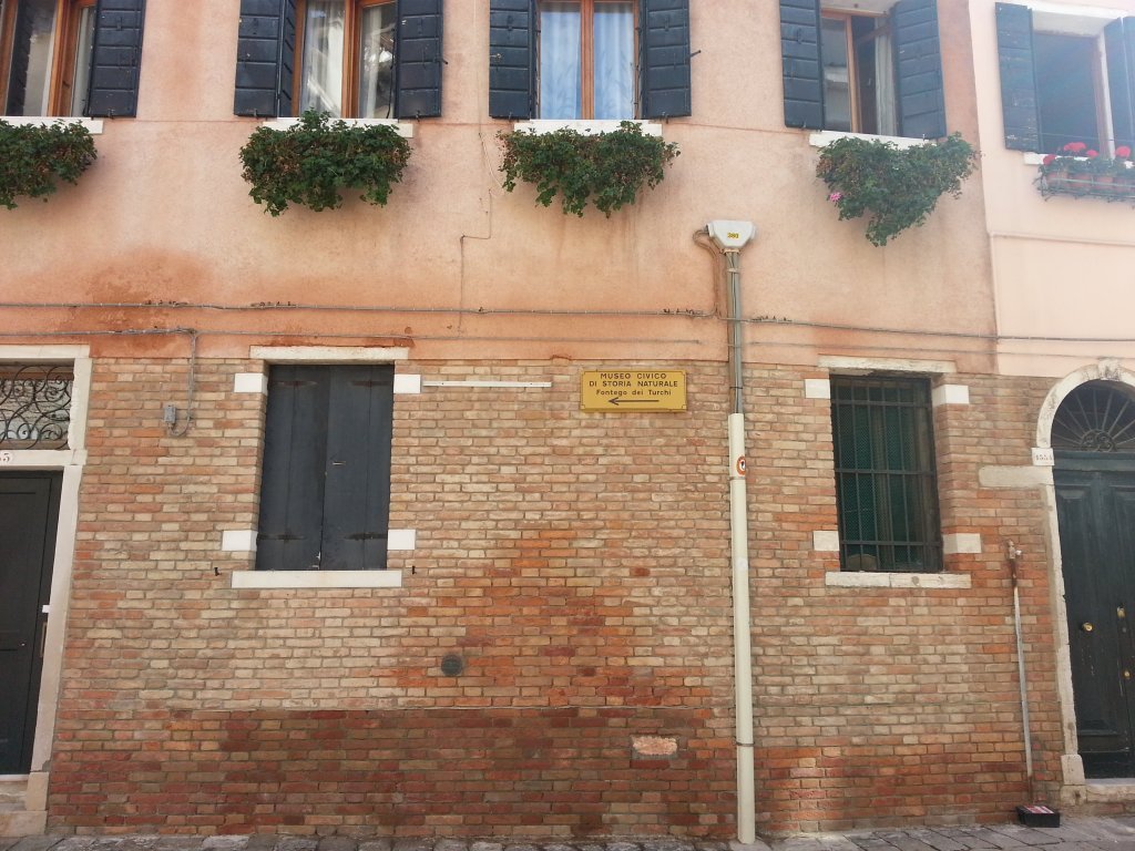 20121014_115500.jpg