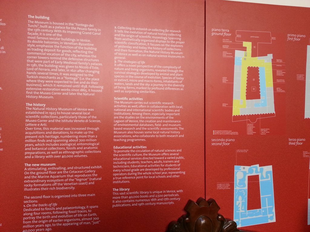 20121014_120155.jpg