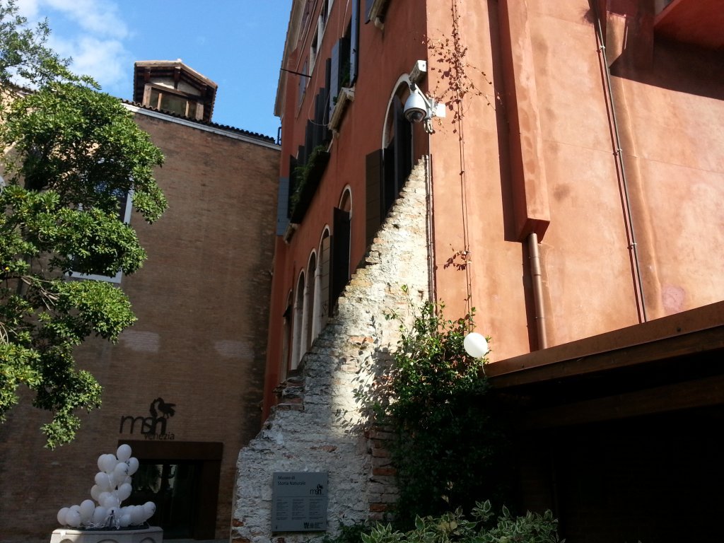 20121014_120354.jpg