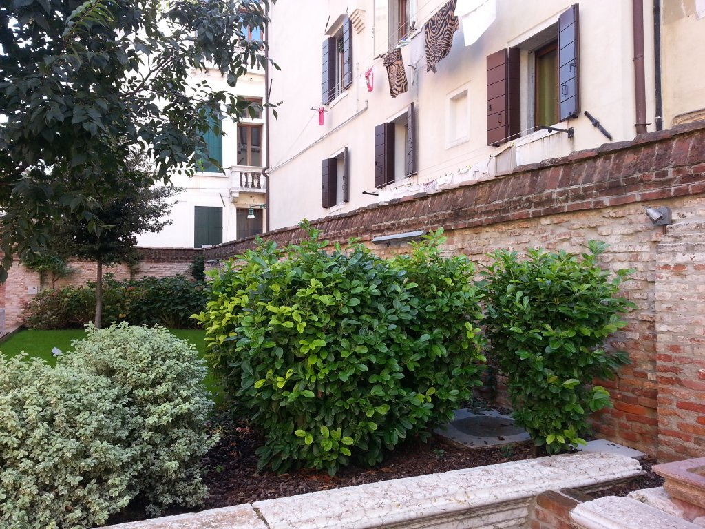20121014_120514.jpg
