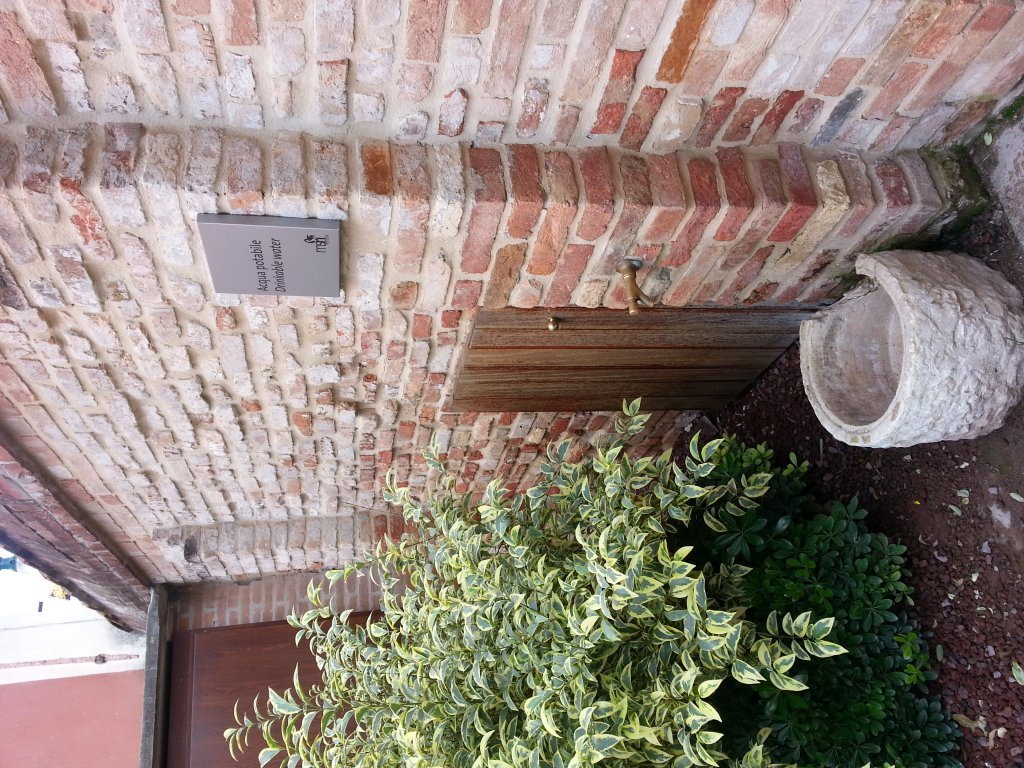 20121014_120635.jpg