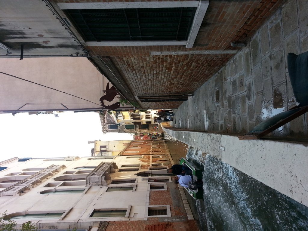 20121014_120808.jpg