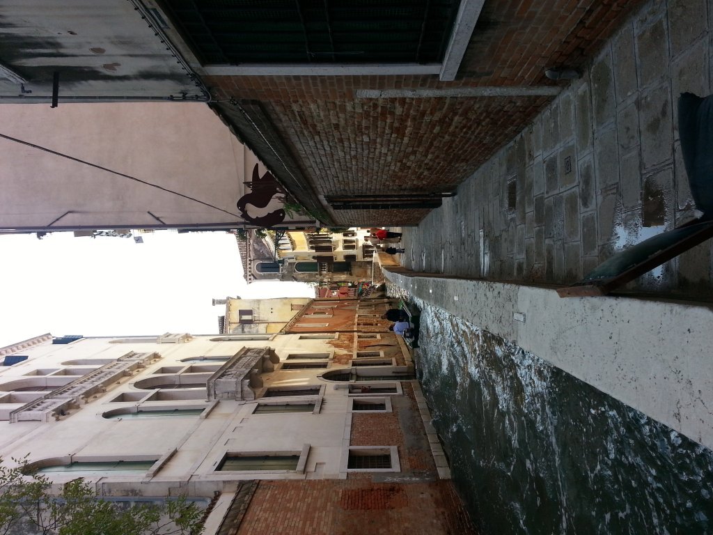 20121014_120812.jpg