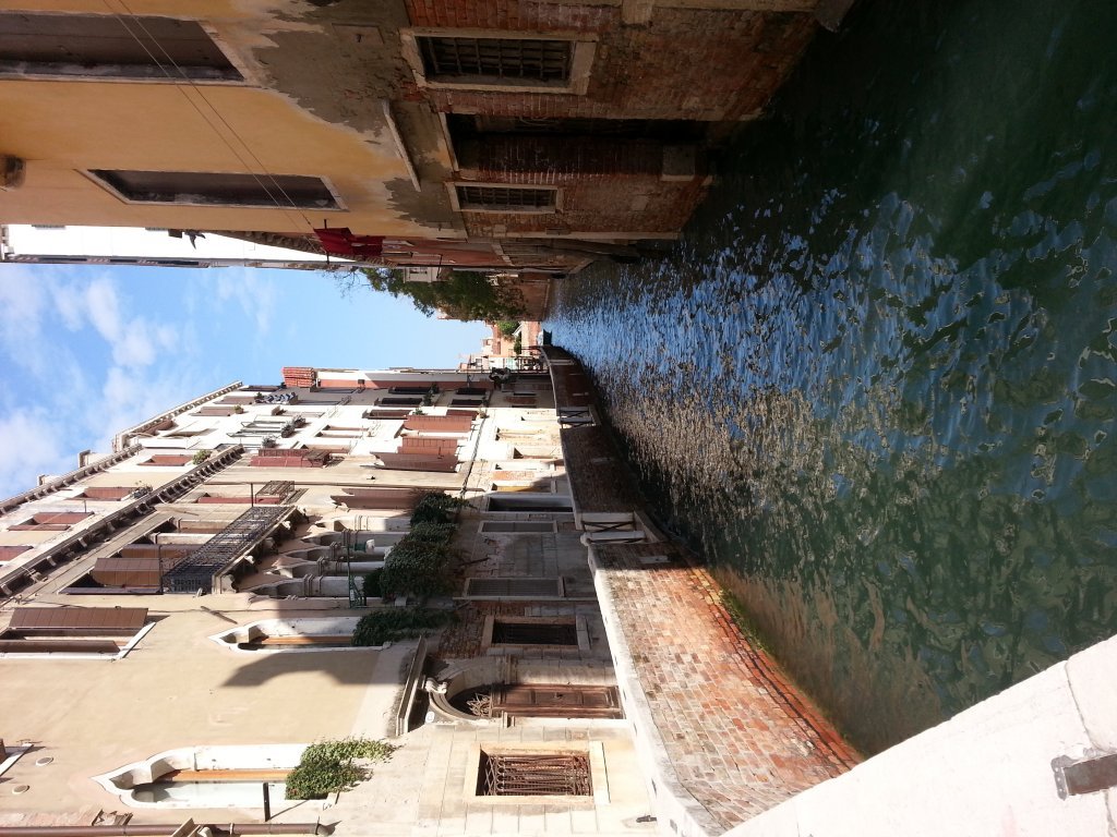 20121014_121011.jpg