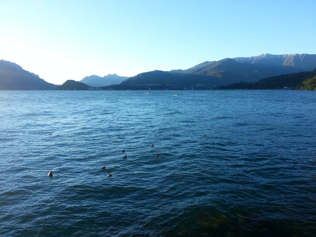 20121016_083407.jpg