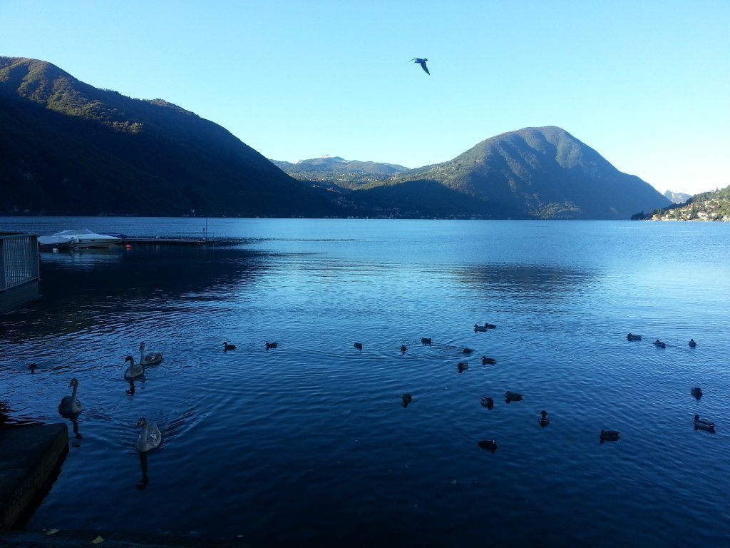 20121016_091913.jpg