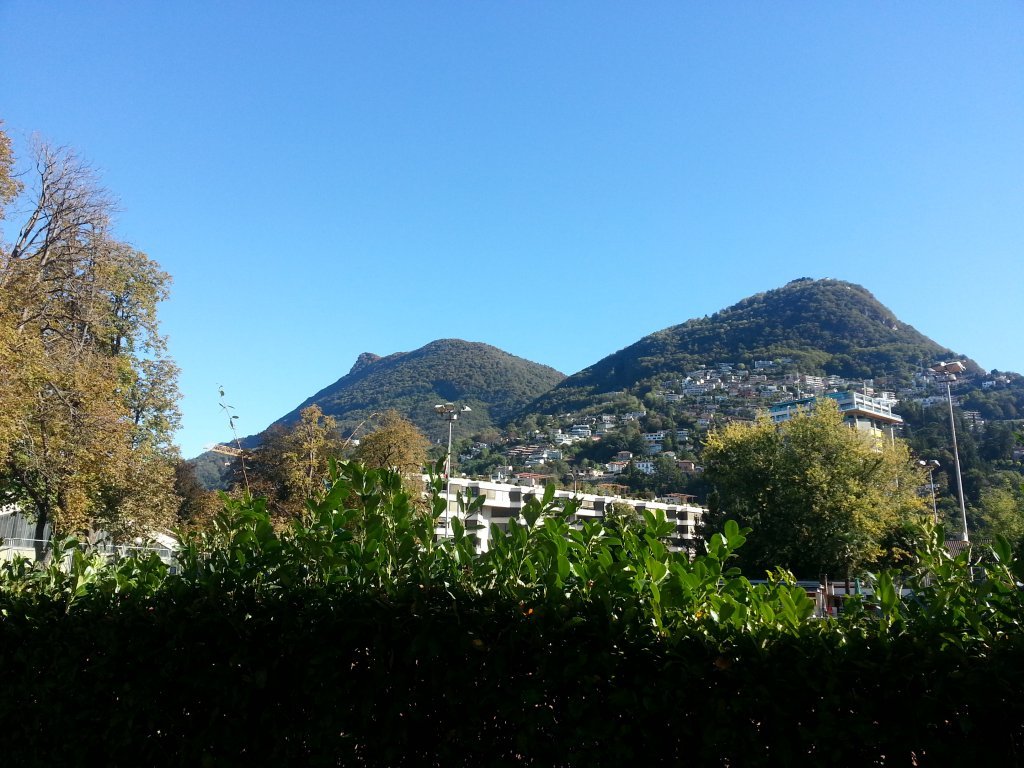 20121016_113256.jpg