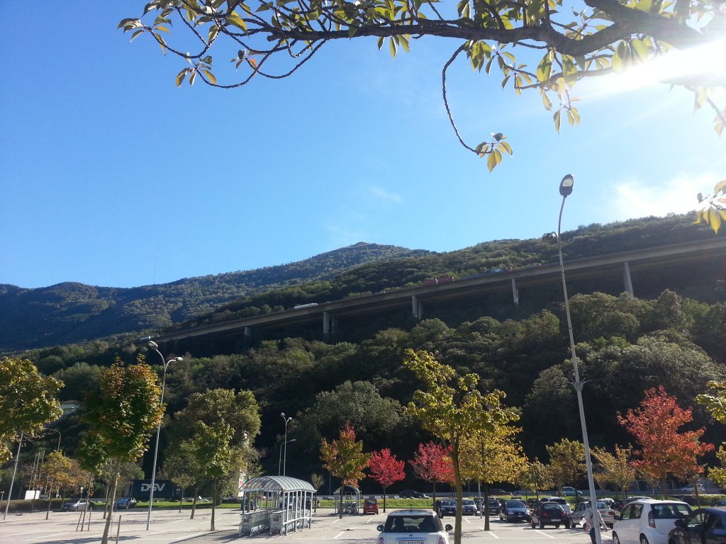 20121016_135623.jpg