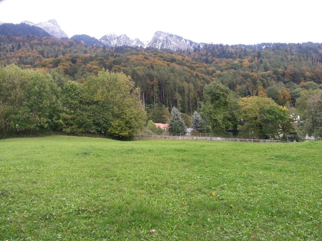 20121016_173215.jpg