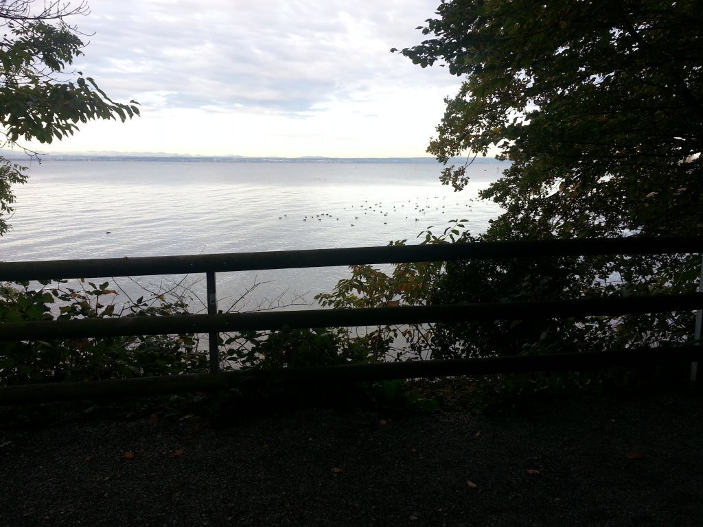 20121017_082726.jpg