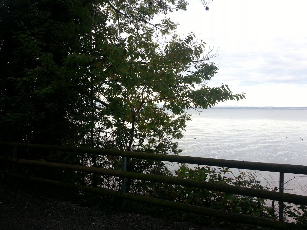 20121017_082733.jpg