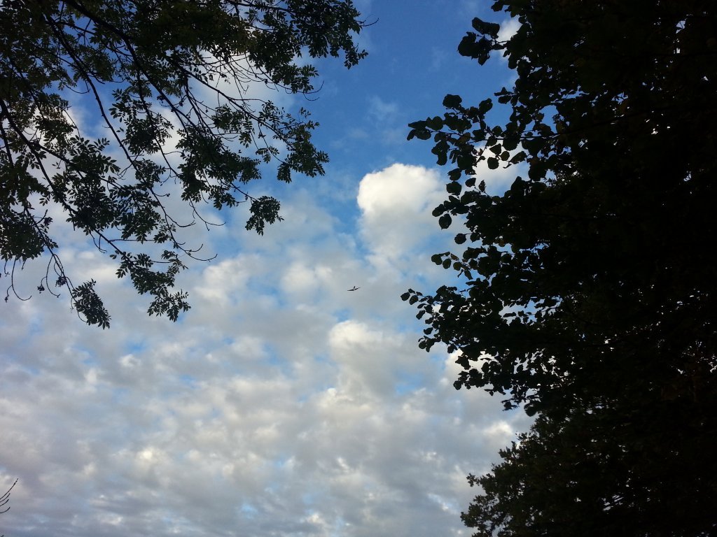 20121017_082837.jpg