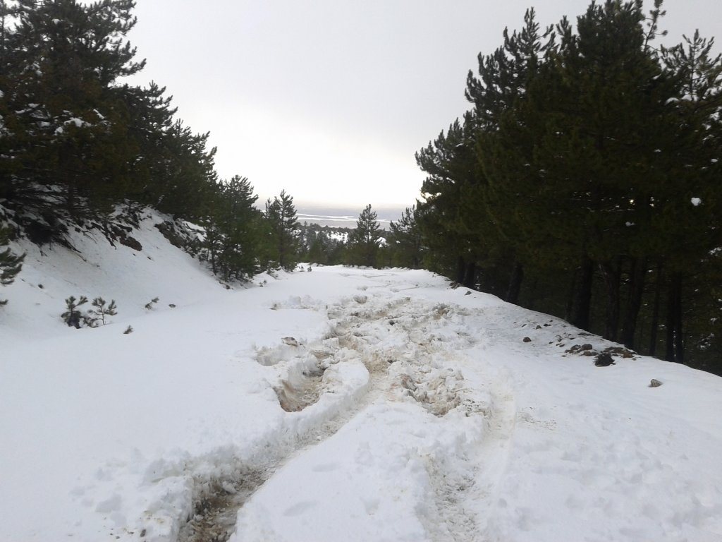 2013-02-09 16.13.22.jpg