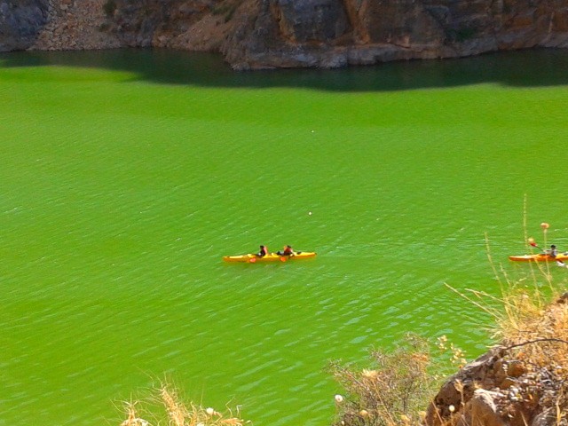 2013-06-30 16.37.18.jpg