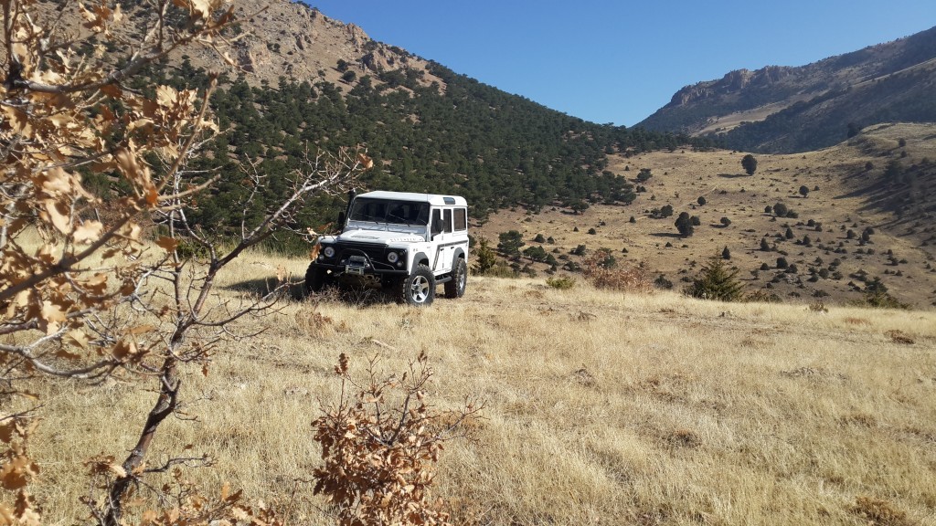 2013-11-10 09.20.51.jpg