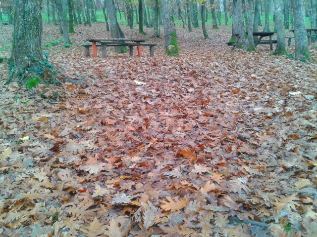 2013-11-28 14.09.49.jpg