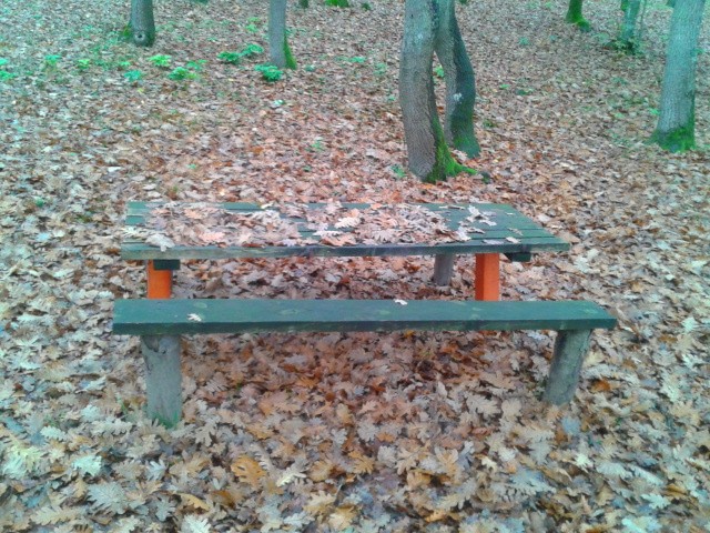 2013-11-28 14.11.09.jpg