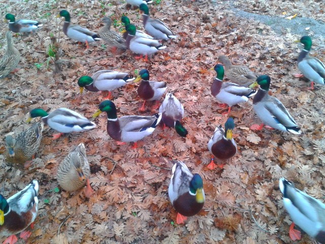 2013-11-28 14.23.48.jpg