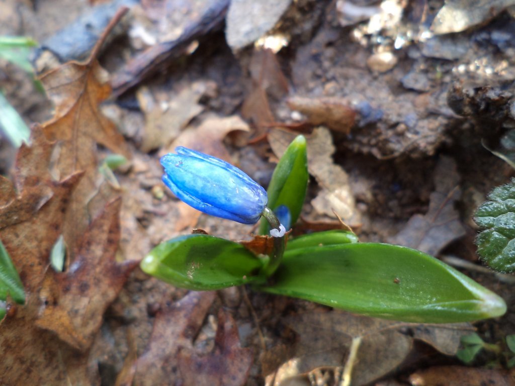 2013.17.02 kozaklÃƒÂƒÃ‚Â„ÃƒÂ‚Ã‚Â± soÃƒÂƒÃ‚Â„ÃƒÂ‚Ã‚ÂŸukoluk su yolu takibi II (175).jpg