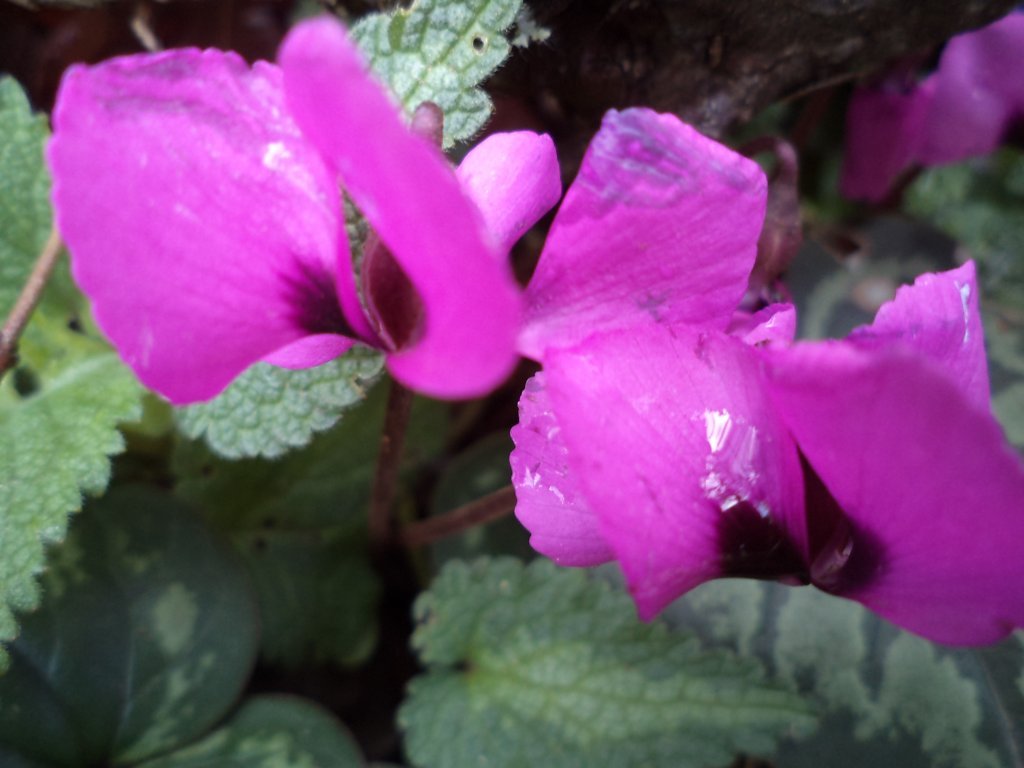 2013.17.02 kozaklÃƒÂƒÃ‚Â„ÃƒÂ‚Ã‚Â± soÃƒÂƒÃ‚Â„ÃƒÂ‚Ã‚ÂŸukoluk su yolu takibi II (179).jpg