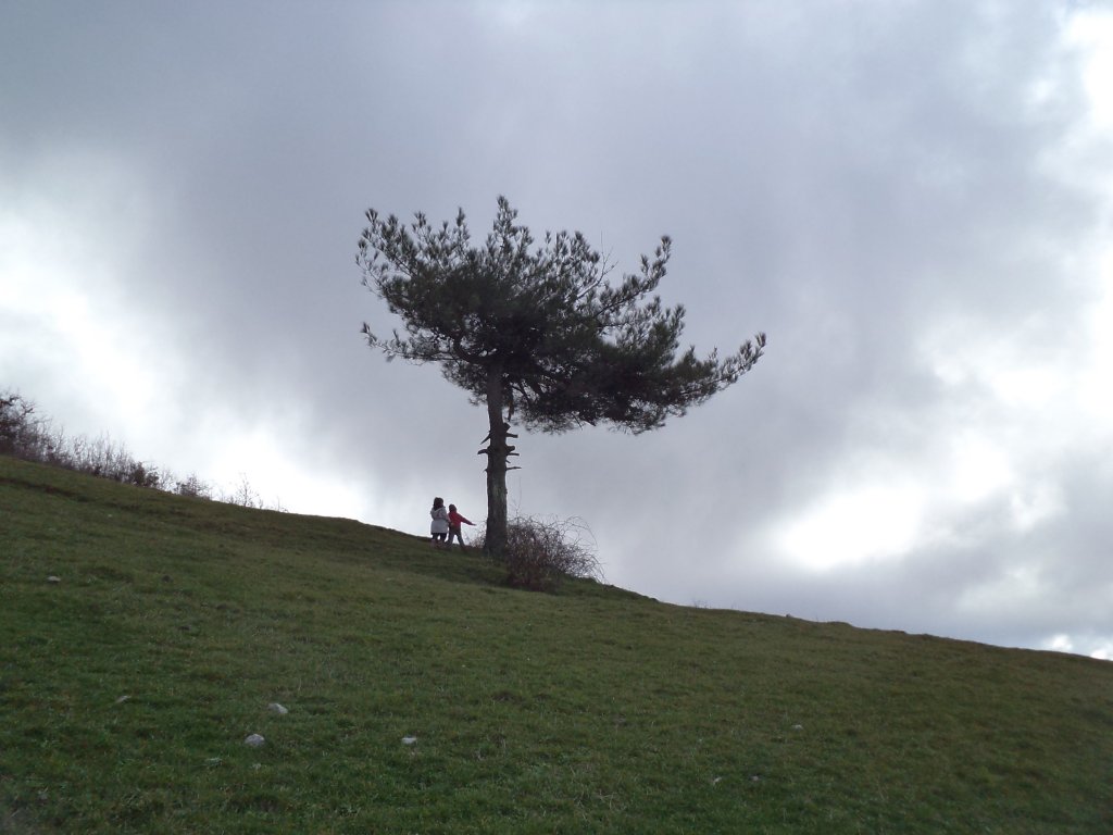 2013.17.02 kozaklÃƒÂƒÃ‚Â„ÃƒÂ‚Ã‚Â± soÃƒÂƒÃ‚Â„ÃƒÂ‚Ã‚ÂŸukoluk su yolu takibi II (230).JPG