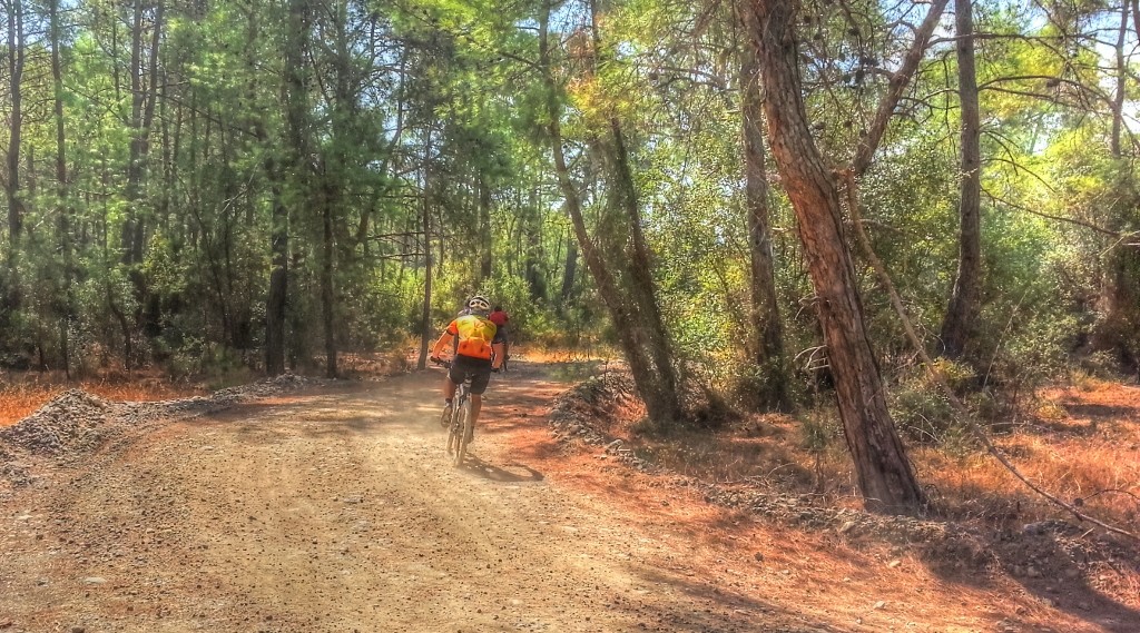 20130915_110914_HDR_tonemapped (1024x569).jpg