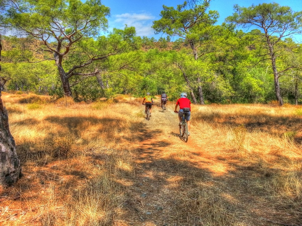 20130915_131450_tonemapped (1024x768).jpg