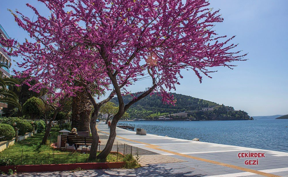 2014.04.08 - Erdek'te bahar01.jpg